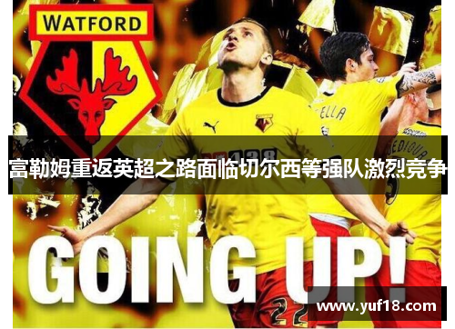 富勒姆重返英超之路面临切尔西等强队激烈竞争
